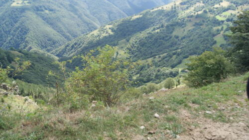SONY DSC
