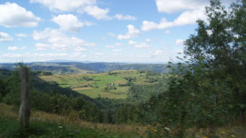 SONY DSC