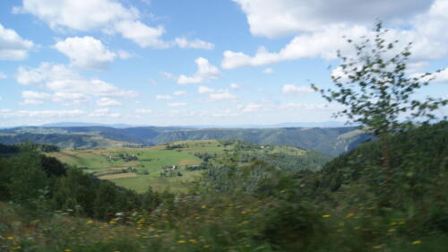 SONY DSC