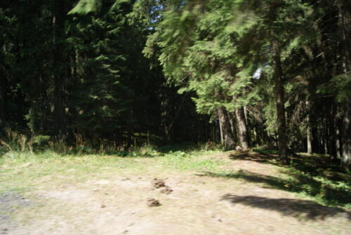 SONY DSC