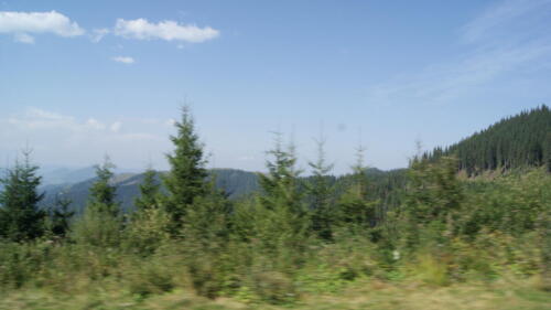 SONY DSC