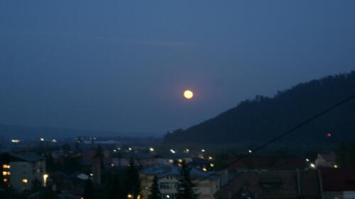 SONY DSC