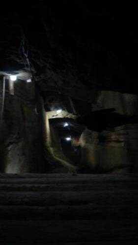 SONY DSC