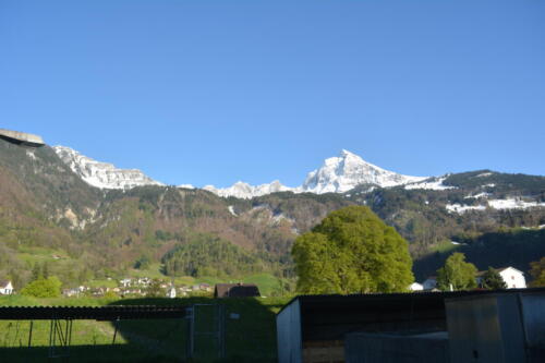 DSC 0399