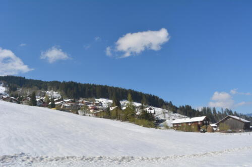 DSC 0481